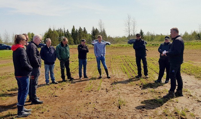 Áhugaverð kornskoðun að Stóra-Ármóti í Flóa