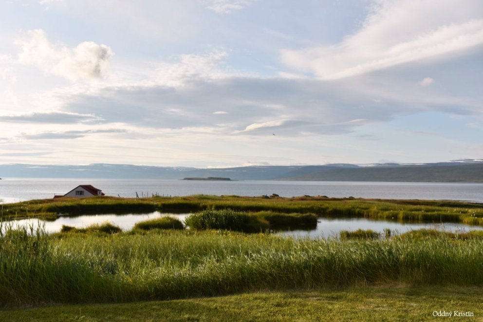 Málstofa um sjálfbærni í landbúnaði, náttúrvernd og umhverfismál
