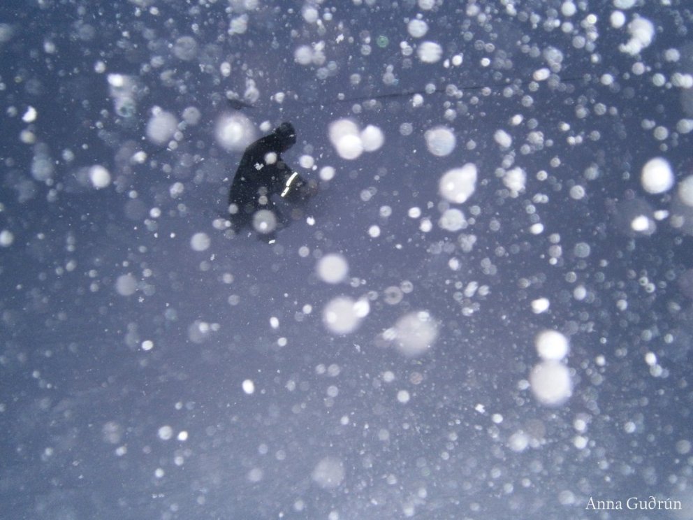 Afurðatjón vegna illviðra í júní