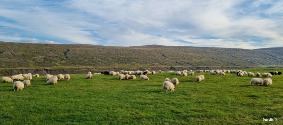 Prentun á vorbókum