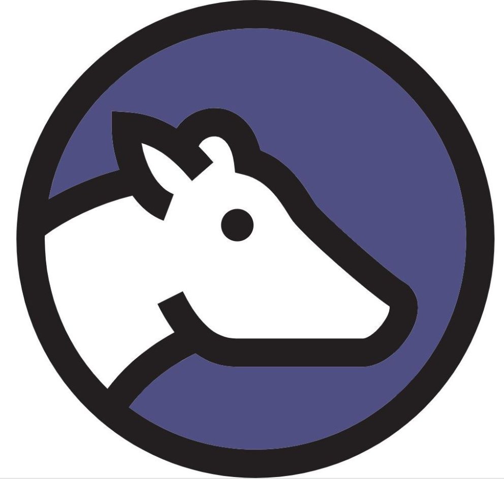 Notendakönnun Huppu – ítarlegri niðurstöður