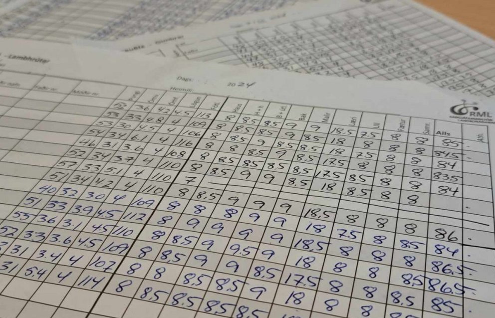 Lambadóma þarf að skrá eigi síðar en 2. nóvember