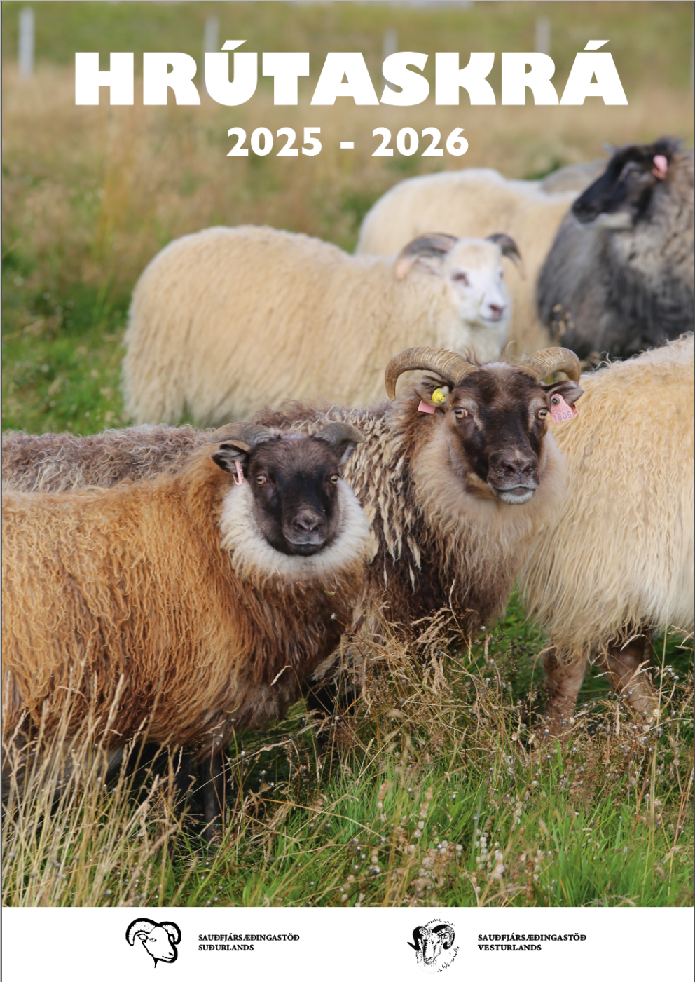 Lokafrestur til að „sækja um“ hvatastyrki vegna sauðfjársæðinga er fimmtudagurinn 8 janúar