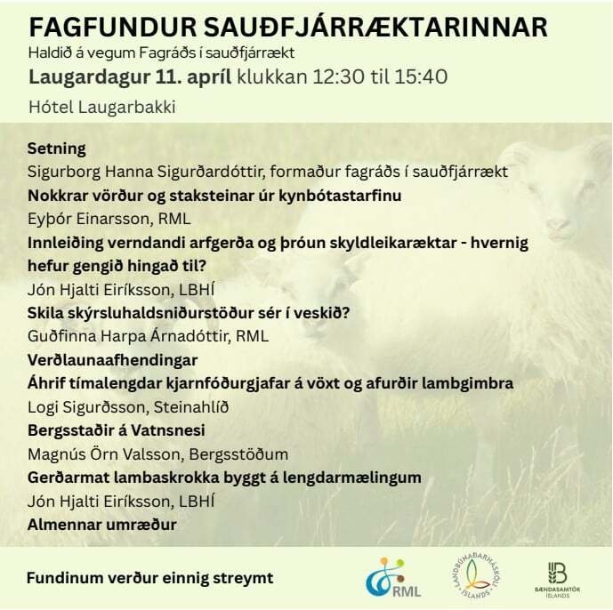 Fagfundur sauðfjárræktarinnar