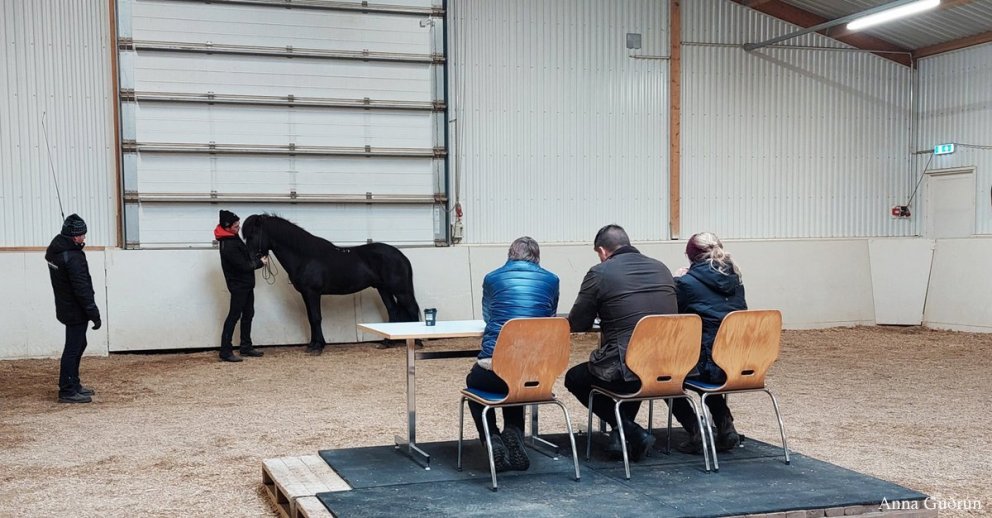 Kynbótasýningar vorsins