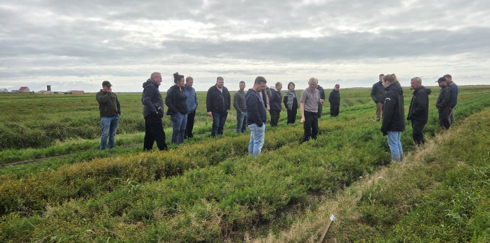 Loftslagsvænn landbúnaður – vinnustofur á búum í haust