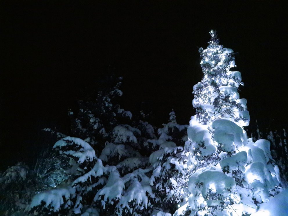 Opnunartími um jól og áramót og viðvera á skrifstofu