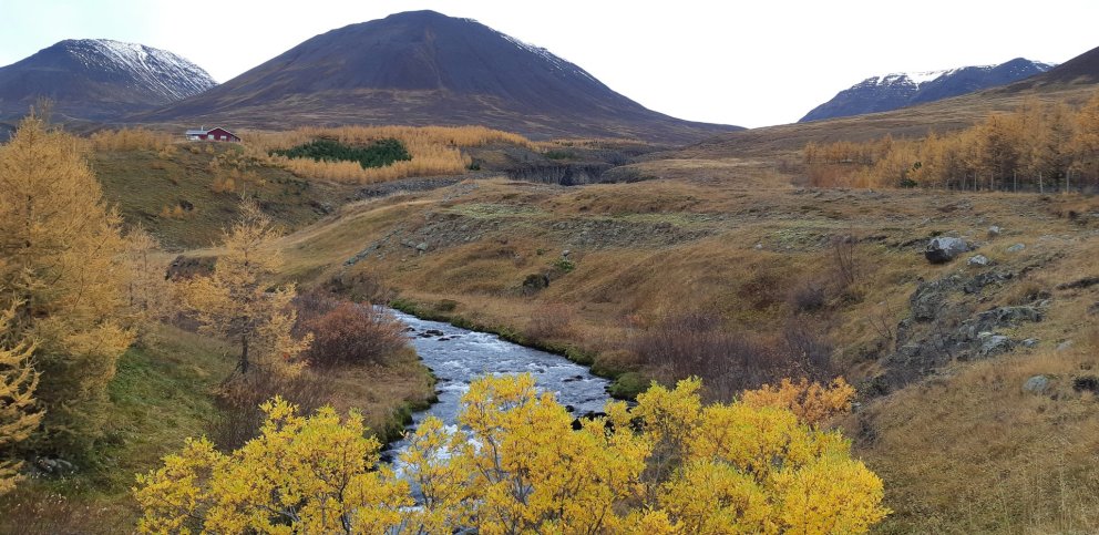 Haustskýrsluskil 2023 - leiðbeiningar um skil