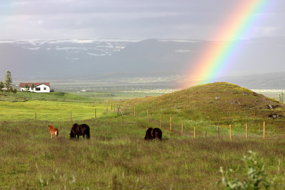 Bændafundir dagana 16-18 janúar