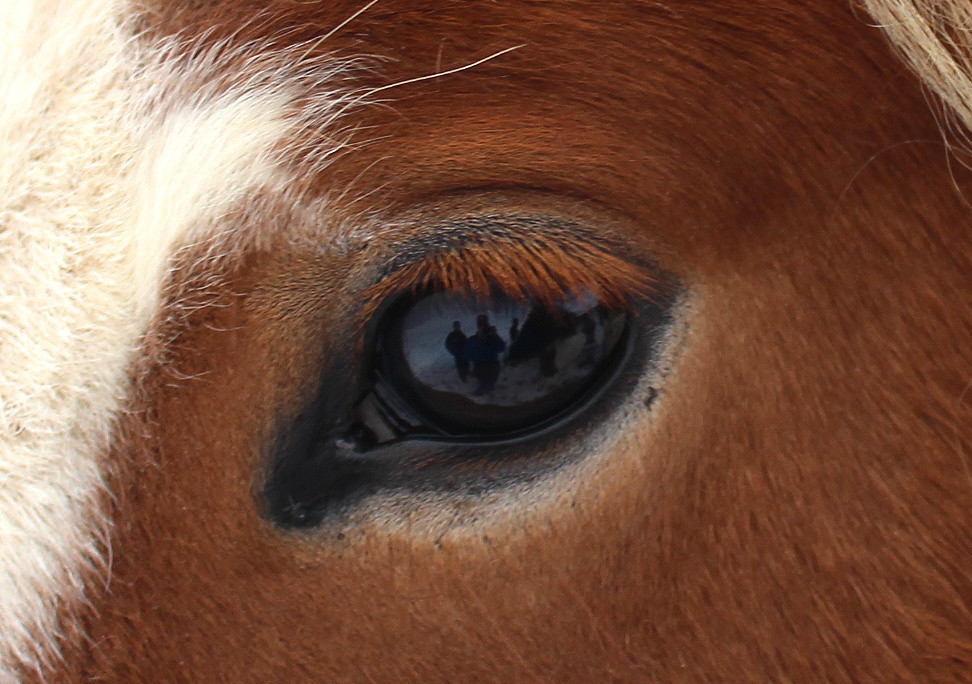 Hollaröð á yfirliti Hólar 8. júní