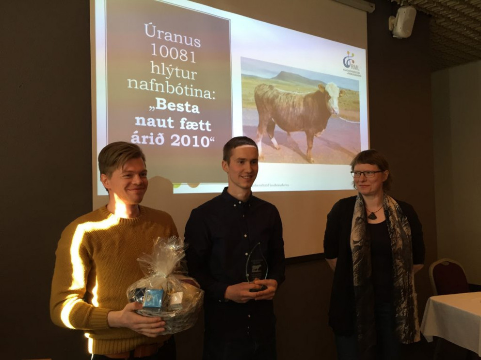 Mynd: Margrét Gísladóttir (naut.is)