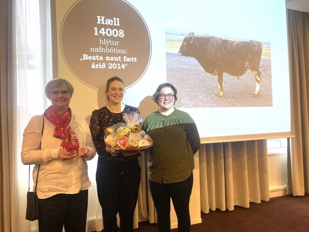 Bolette Höeg Koch og dætur með viðurkenningu fyrir Hæl 14088. Mynd: Bbl., Guðrún Hulda Pálsdóttir.