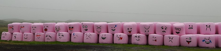 Vegna umræðna um „Plast í íslenskum landbúnaði – leiðir og kostnaður við að draga úr notkun heyrúllu…