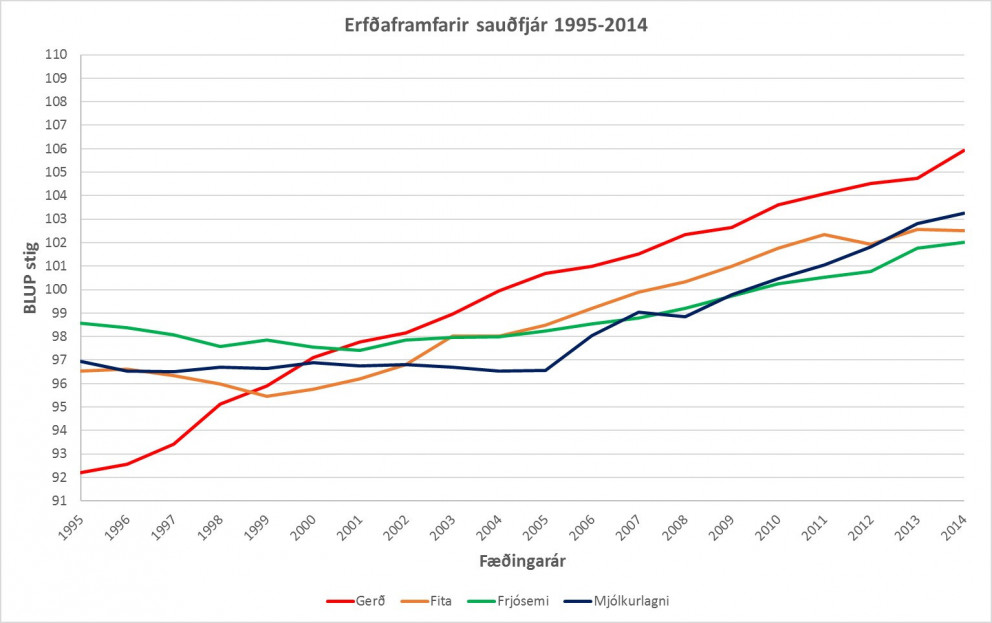 Kynbótamat sauðfjár 2017