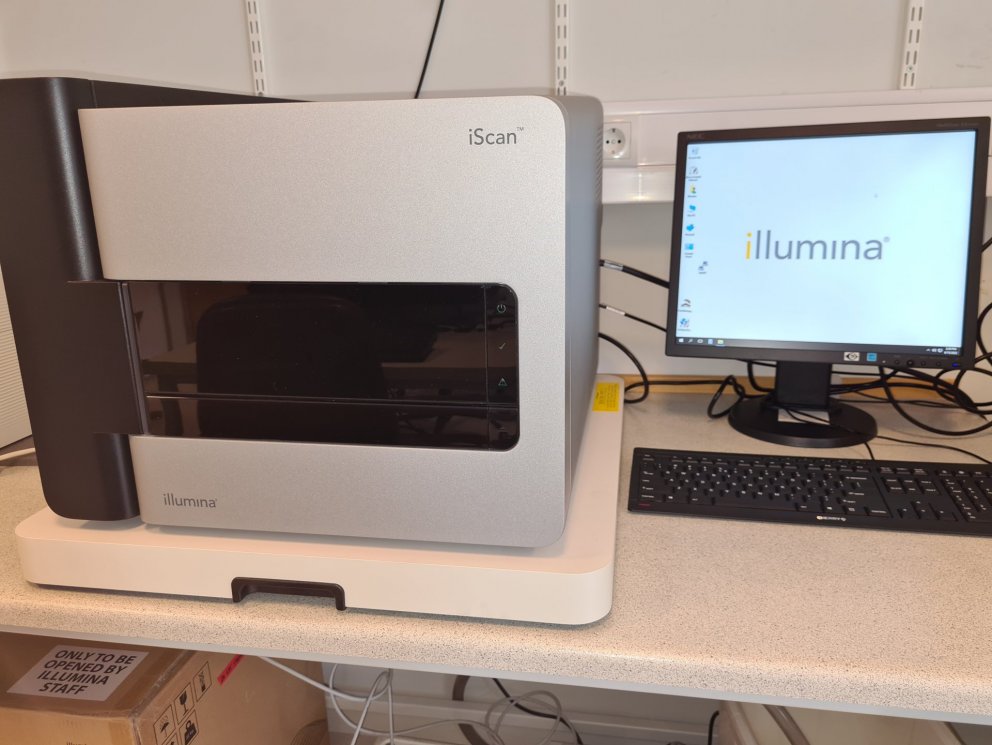 Erfðamengisúrval: Búið að greina fyrstu sýni hérlendis