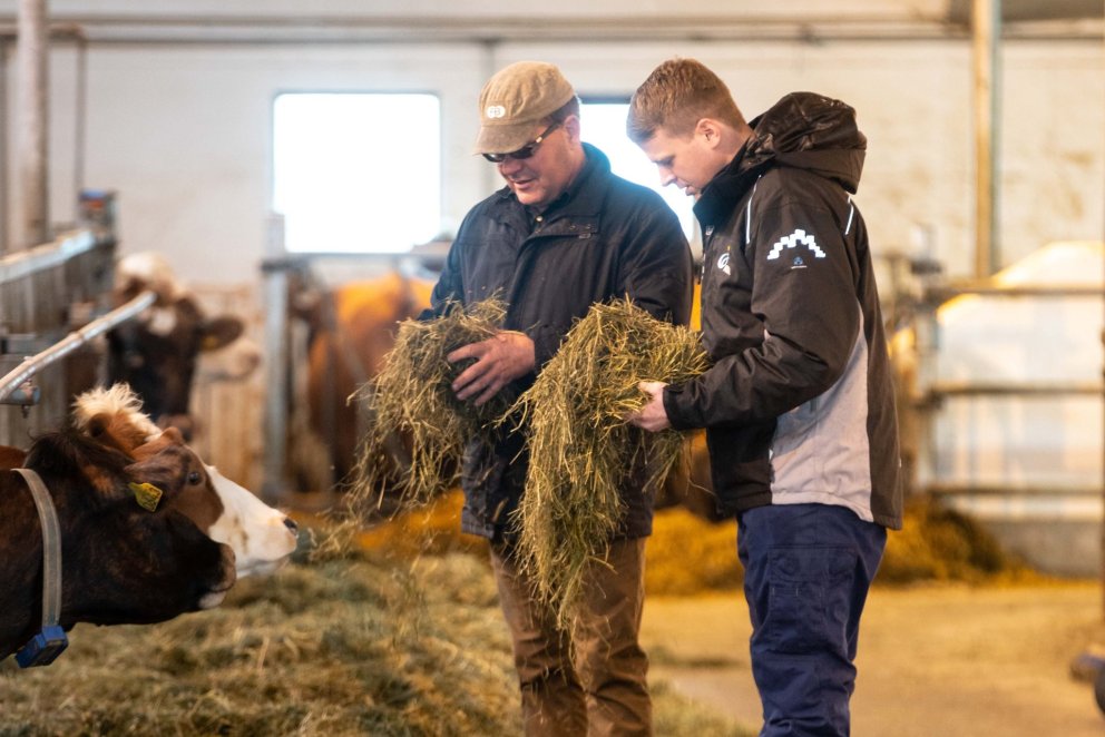 Hey- og jarðvegssýnataka 2024
