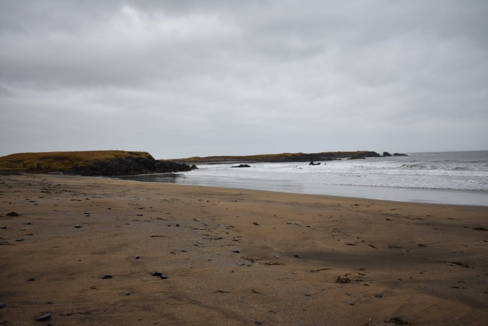 Landbúnaður og náttúruvernd, lokaskýrsla og LOGN 2020