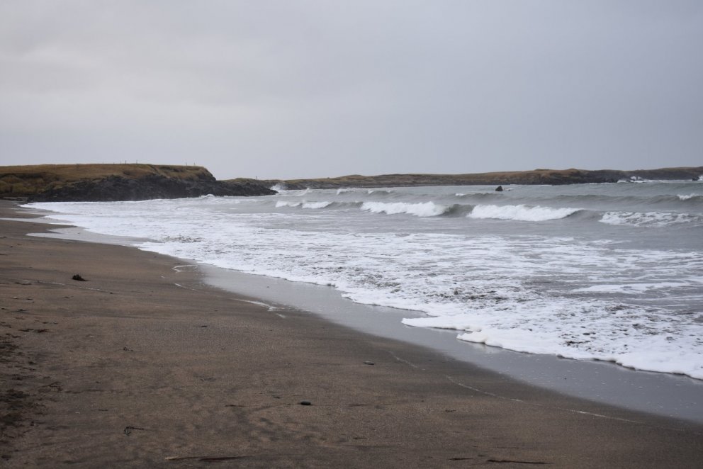 LOGN netfyrirlestrar 20. – 24. apríl