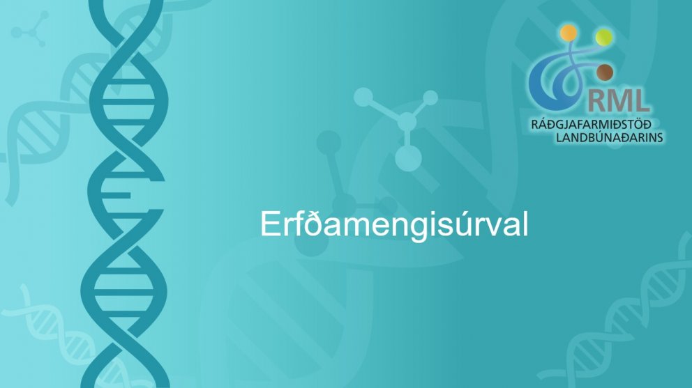 Upptaka af fræðslufundi um erfðamengisúrval