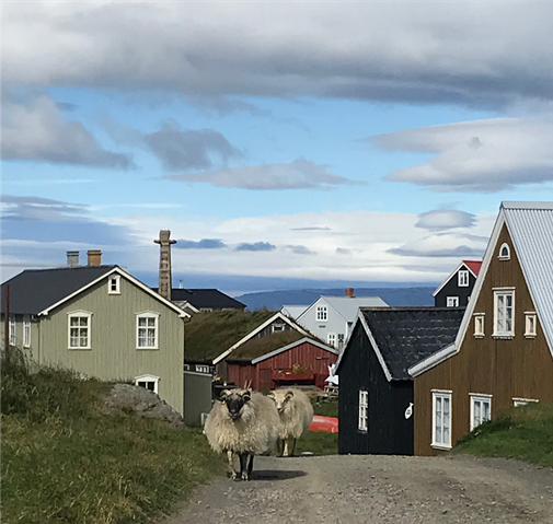 Rekstur sauðfjárbúa 2018-2020