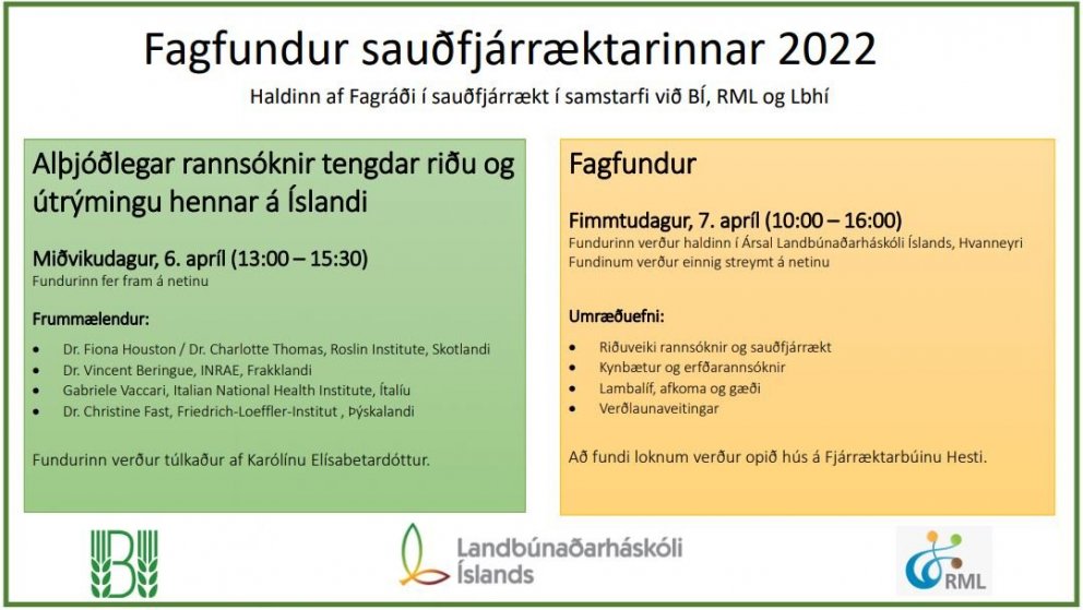 Fagfundur sauðfjárræktarinnar – tveir dagar með spennandi dagskrá