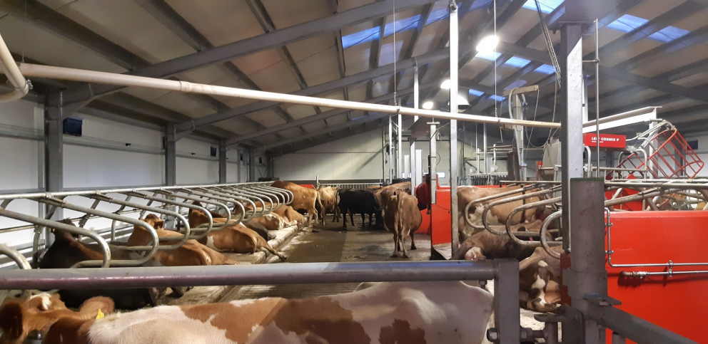 Fjárfestingarstuðningur 2018 - Lokaskýrsluskil !