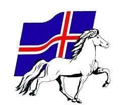 Yfirlitssýning kynbótahrossa á Fjórðungsmóti Vesturlands 2021 - Hollaröðun 9. júlí