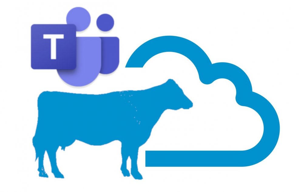 Fjósloftið: Fjarfundir fyrir kúabændur