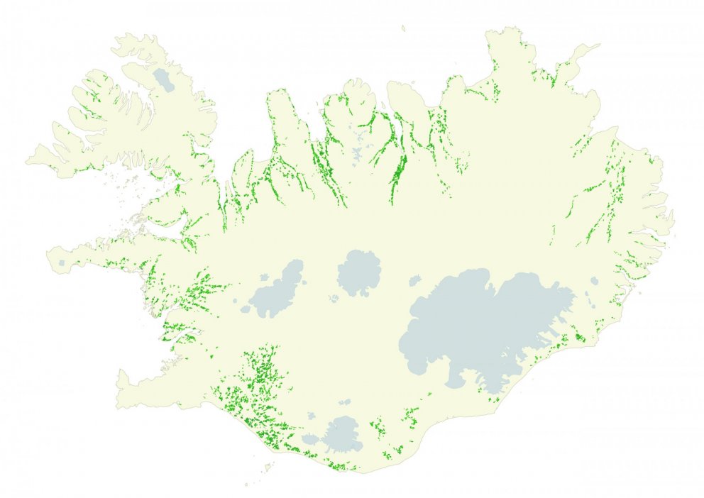 Flatarmál ræktaðs lands