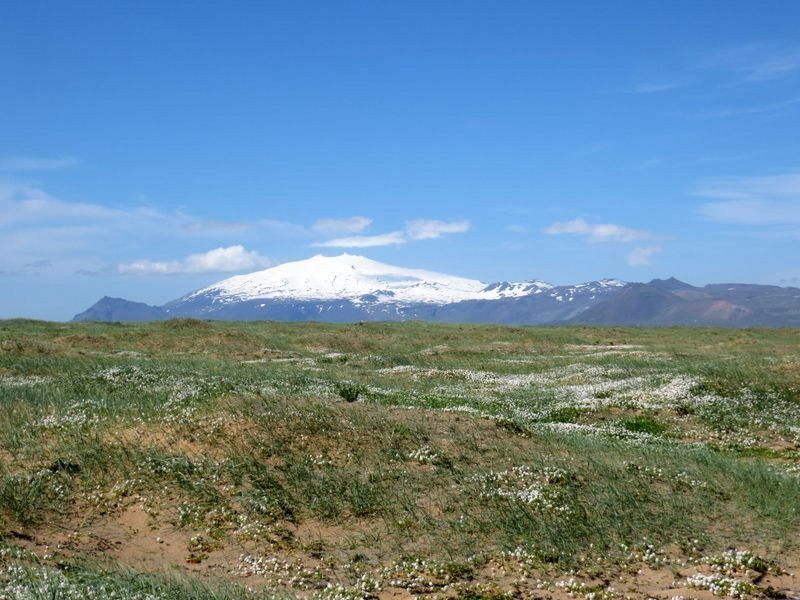 LOGN – fjarnámskeið