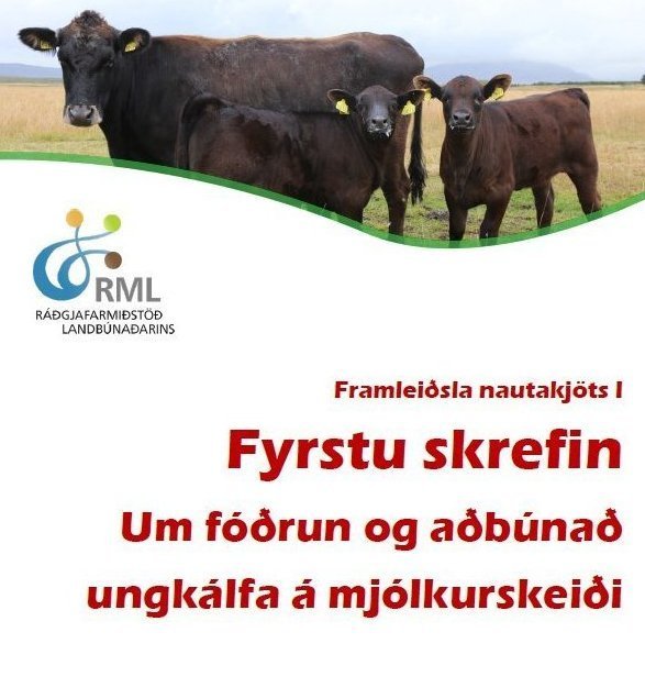 Bæklingur um fóðrun og aðbúnað ungkálfa