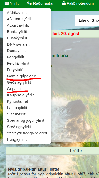 Gripaleitin í Fjárvís