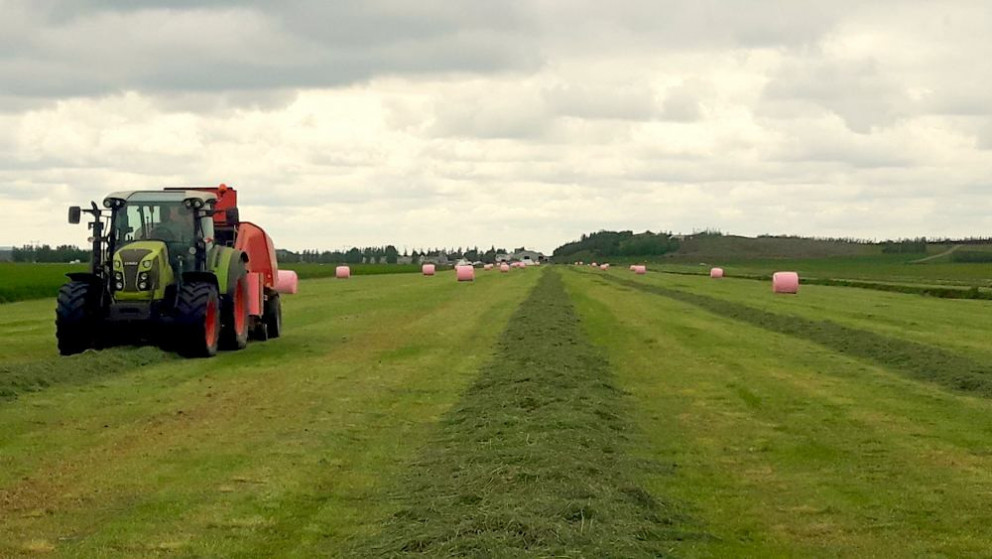 Gróffóðurverkun og íblöndun