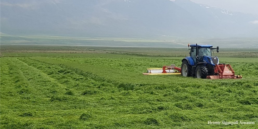 Nokkur atriði tengd slætti