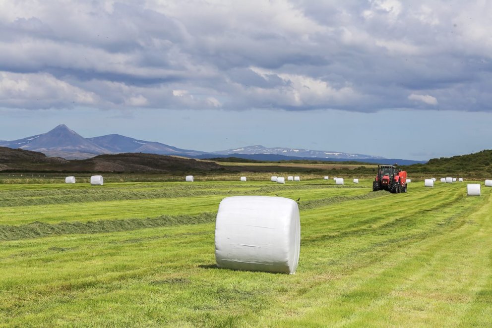 Skráning á áburðargjöf nú hluti af lögbundnu skýrsluhaldi