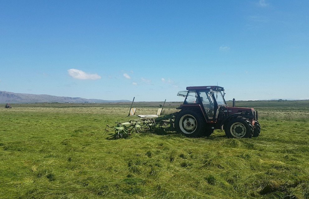 Samantekt á heysýnum 2020