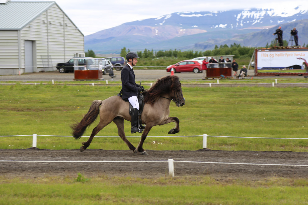 Lokaskráningardagur á síðsumarssýningar er 11. ágúst