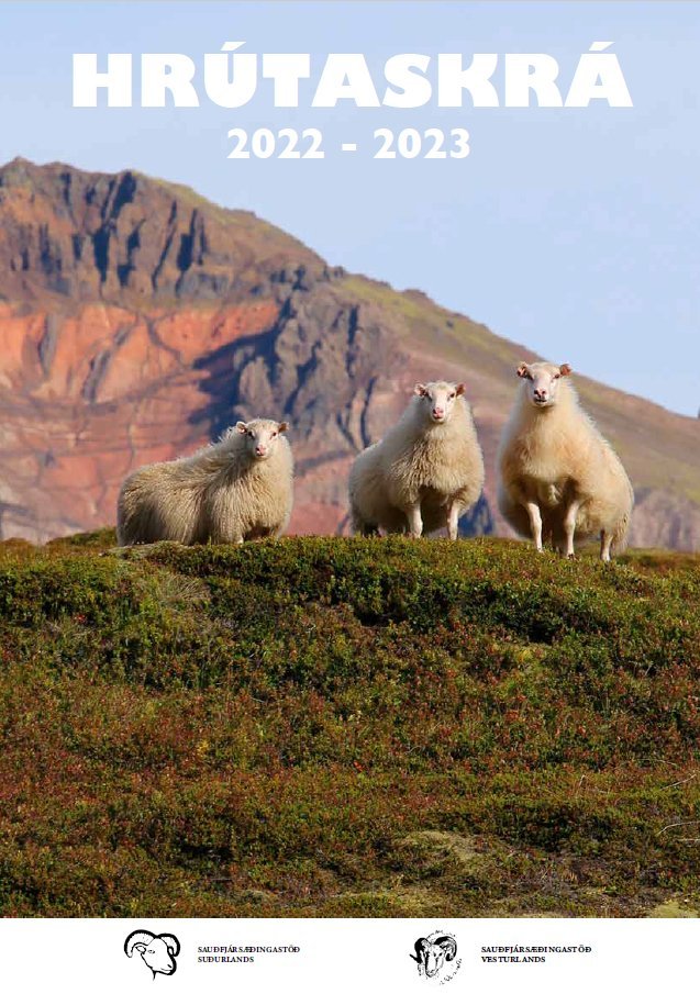 Forsíða Hrútaskráarinnar 2022-23. Mynd: Halla Eygló Sveinsdóttir.