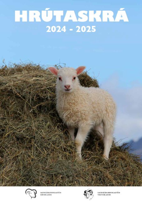 Hrútaskrá 2024-2025 er komin á vefinn