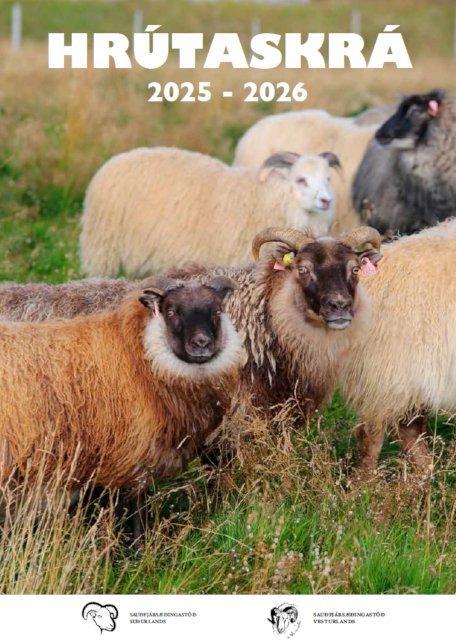Forsíða Hrútaskráarinnar 2025-26. Mynd: Halla Eygló Sveinsdóttir.