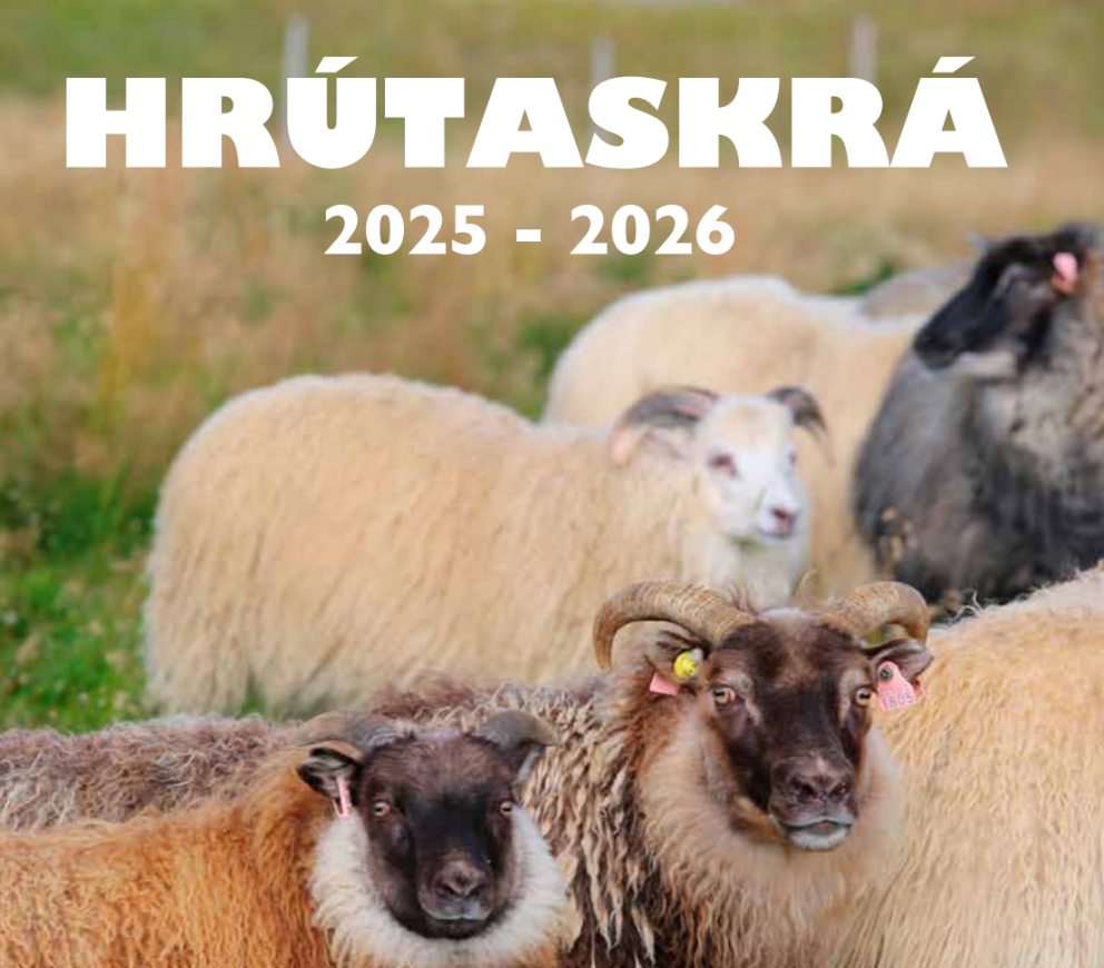 Spaði og Harry ekki í boði