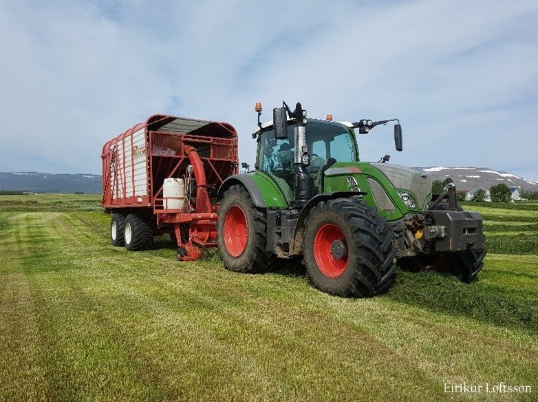 Hvað er gott að hafa í huga við val á íblöndunarefnum í votheysverkun?