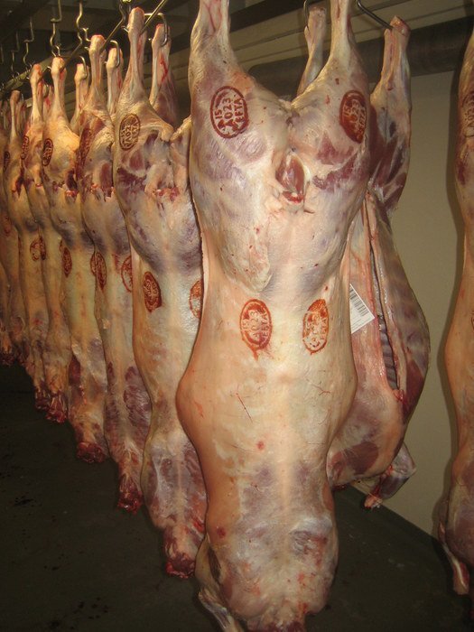 Áhrifaþættir á gæði lambakjöts