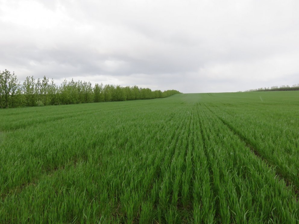 Afsláttur hjá Efnagreiningu ehf á Hvanneyri fyrir „pakka“bændur hjá RML