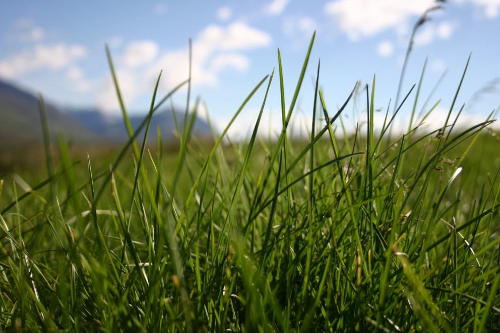 Úrslit úr getraun RML í Hofi 3. mars