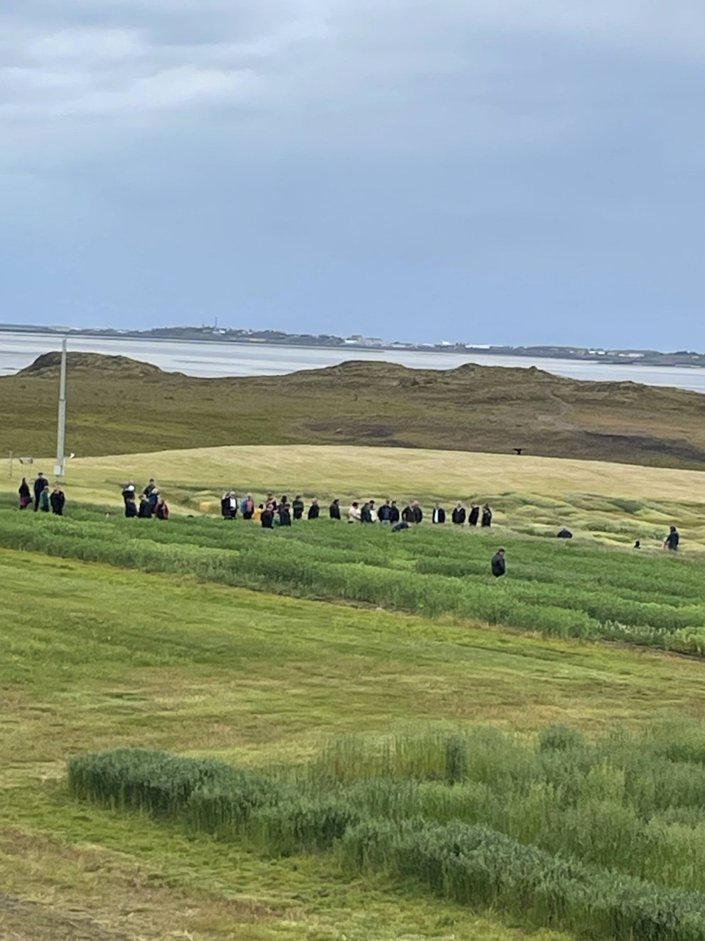 Heimsóknir ráðunauta í kornakra í júní 2024