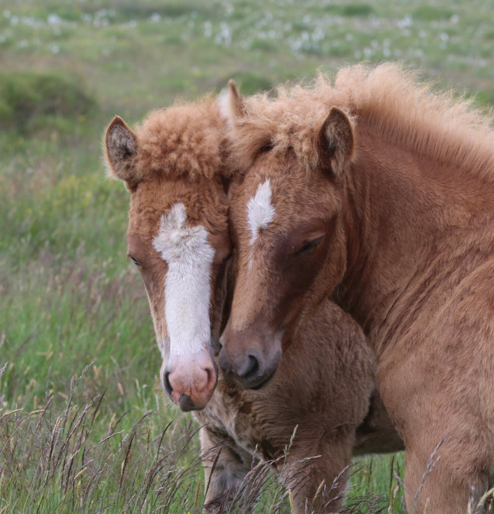 Nýtt skýrsluhaldsár hefst 1. apríl