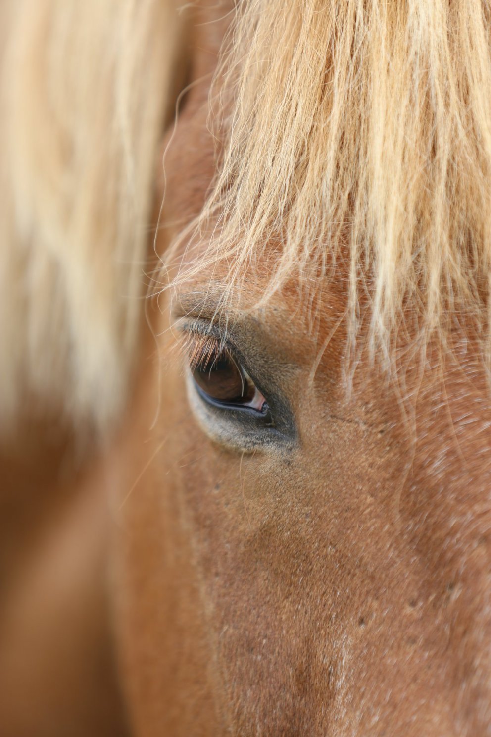 Skráningarfrestur framlengdur til miðvikudags 14. ágúst