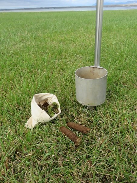 Niðurstöður jarðvegssýna