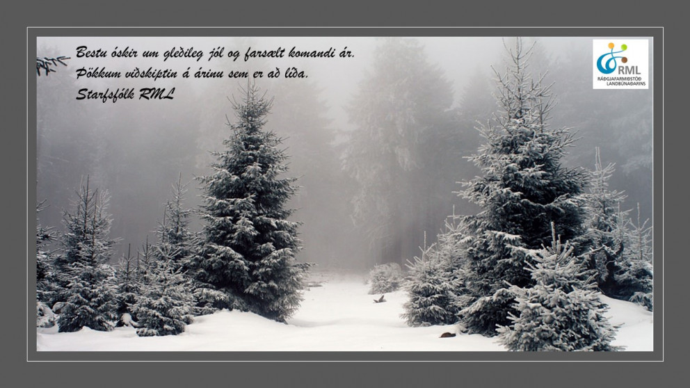 Bestu óskir um gleðileg jól...